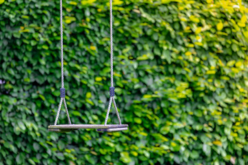Selective focus of a swing with rope hanging on the tree, Outdoor playground for children with wooden swing in the garden, Blurred green leaves on the tree as background, Sports and recreation.