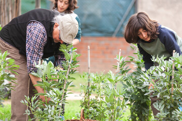 Grandfather and grandchildren tending and harvesting the garden together.