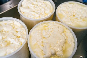 Filling molds for the production of soft cheese. The cheese blanks are soaked in brine. Selected...