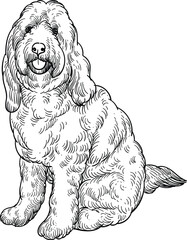 Vintage hand drawn sketch of sit adult labradoodle dog