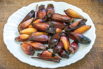 Pine nut fruit of Araucaria angustifolia, typical of the cold regions of Brazil
