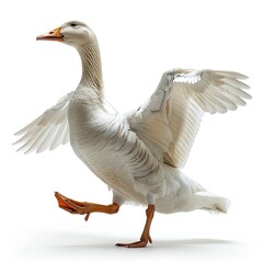 Goose on white background, in the style of graphic design minimalistic, animated gifs, simplicity, colors, white background 