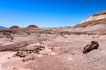 Otherworldly landscape in the desert