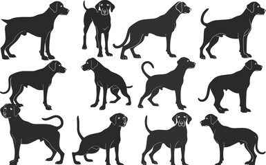 Dalmatian vector silhouette