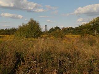 Obraz premium City landscape