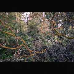 Nature truly is beautiful, innit? 