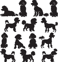 poodle silhouette vector 