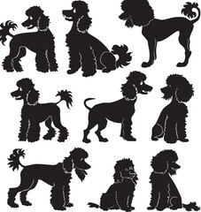 poodle silhouette vector 