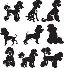 poodle silhouette vector 