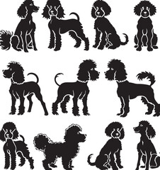 poodle silhouette vector 