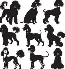 poodle silhouette vector 