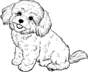 poodle silhouette vector 