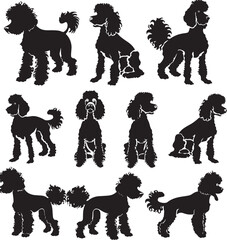 poodle silhouette vector 