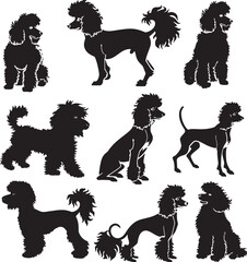 poodle silhouette vector 