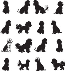 poodle silhouette vector 