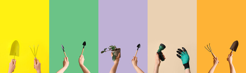 Collage of hands holding gardening supplies and plant on color background