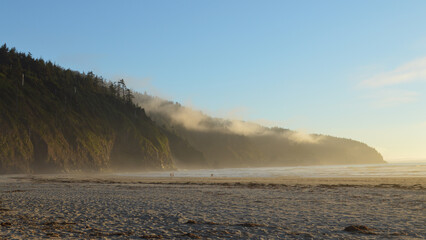 Misty Oregon Beach in the Late Afternoon, Pacific Northwest