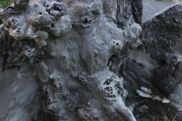 The wood used to cover the playground due to the pandemic. A good backdrop