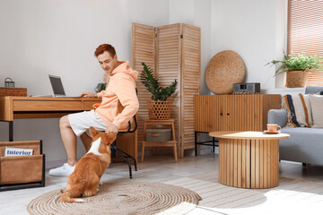 Redhead young man with laptop and cute Corgi dog working at home