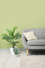 Modern interior living room near green wall in minimalist style