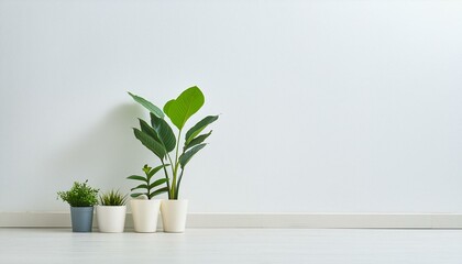 白の壁と観葉植物の背景素材