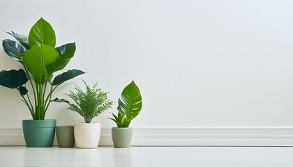 白の壁と観葉植物の背景素材