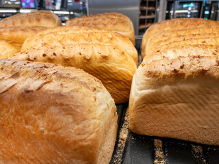 Freshly Baked Loaves of Bread on Bakery Shelf