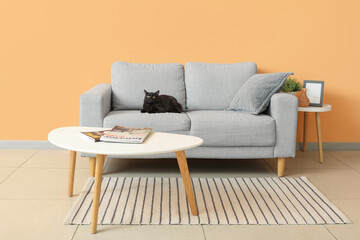 Cute black cat sitting on grey sofa near orange wall