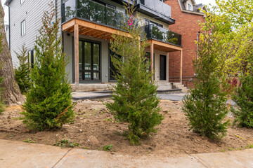 landscaping on a new home build  cedar trees freshly planted by contractor room for text shot in toronto beaches neighbourhood in spring