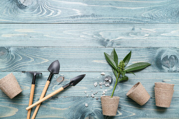 Gardening tools, peat pots and plant on blue background. Top view