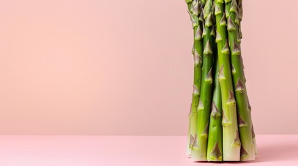 Asparagus, a photorealistic illustration against pastel pink background with copy space for text or logo, beautifully illuminated by studio lighting, flat lighting 