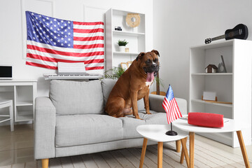 Boxer dog on sofa with USA flags at home
