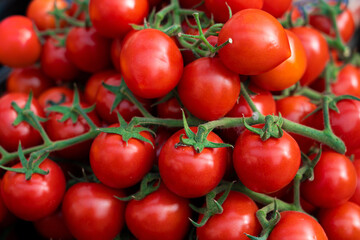 fresh ripe red cherry tomatoes background.	