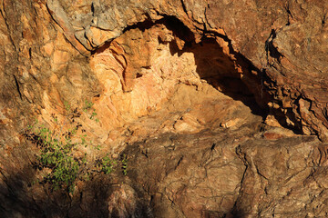 Afrikanischer Busch - Krügerpark / African Bush - Kruger Park /