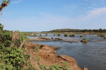 Afrikanischer Busch - Krügerpark - Olifants River / African Bush - Kruger Park - Olifants River /