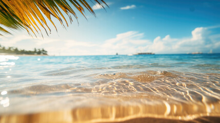 Tropical Delight. Beachfront Beauty Background