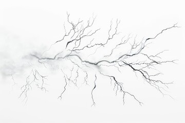 Realistic photograph of a complete Lightning,solid stark white background, focused lighting