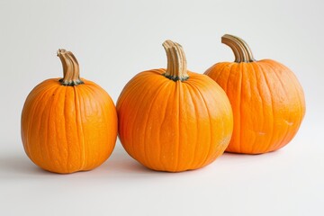 Obraz premium Realistic photograph of a complete Pumpkins,solid stark white background, focused lighting