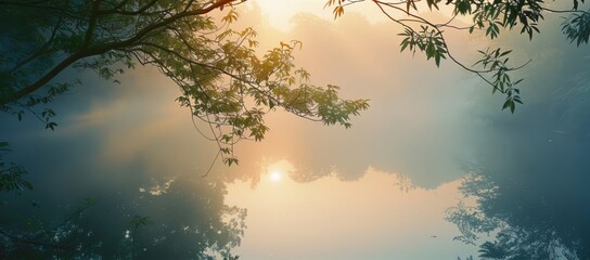 Serene sunrise through misty forest, sun rays filtering through leaves, creating a peaceful and tranquil natural scenery.