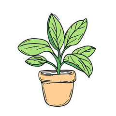 PNG, Potted plant, Cartoon, Vector illustration, icon design, Transparent, White background