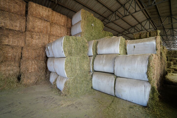 The high-quality forage warehouse is located in a dairy farm in North China