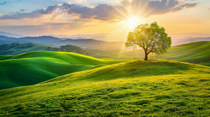 Peaceful image of a vibrant green hill with a single tree bathed in sunlight conveying simplicity, ai generated.	 - Powered by Adobe