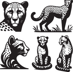 cheetah bundle vector
