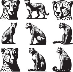 cheetah bundle vector