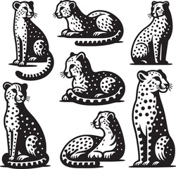 cheetah bundle vector © design master