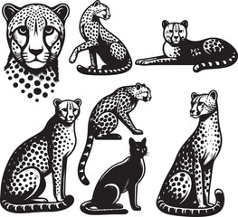 cheetah bundle vector © design master
