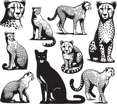 cheetah bundle vector