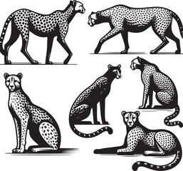 cheetah bundle vector