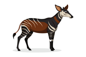 Okapi animal flat vector illustration on white background