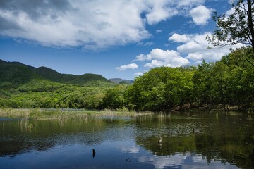 初夏の風景